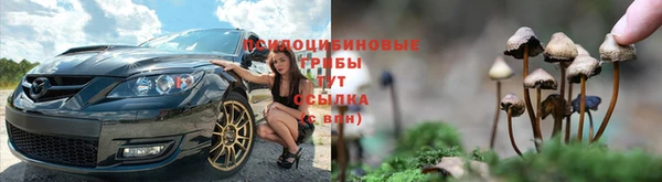Альфа ПВП Покачи