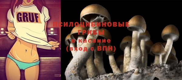 Альфа ПВП Покачи
