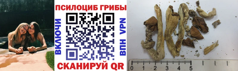 OMG ссылка  цена   Бологое  Галлюциногенные грибы ЛСД 
